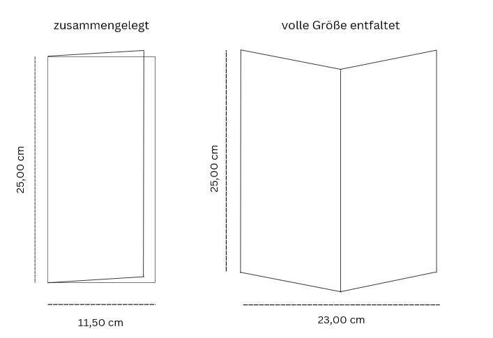 Papierhandtuch Hochweiß, V-Falz, 2-lagig, 25 x 23 cm, 3200 Blatt